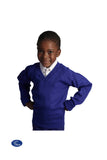 Royal V-Neck Jersey